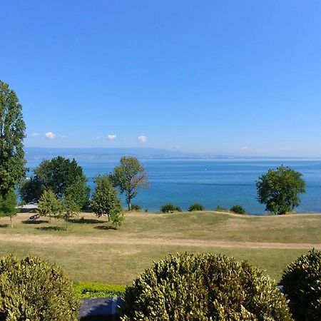 Lakefront. Appartement Pieds Dans L'Eau. View And Direct Access To The Lake. Anthy-sur-Leman Exterior foto