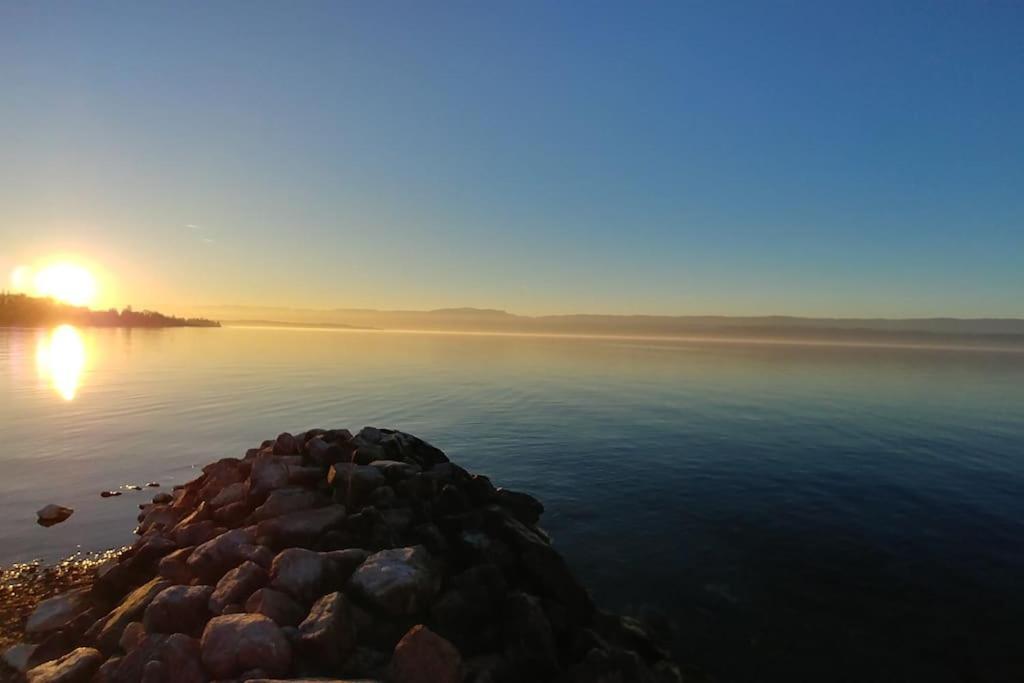 Lakefront. Appartement Pieds Dans L'Eau. View And Direct Access To The Lake. Anthy-sur-Leman Exterior foto
