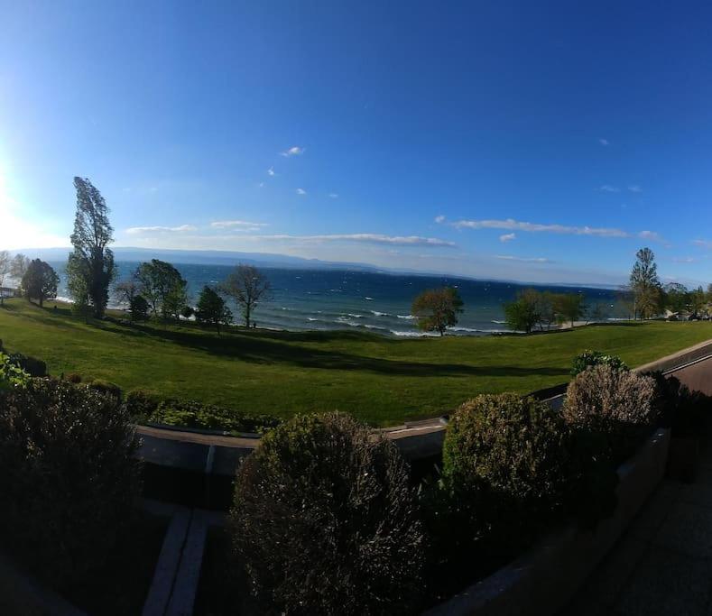 Lakefront. Appartement Pieds Dans L'Eau. View And Direct Access To The Lake. Anthy-sur-Leman Exterior foto