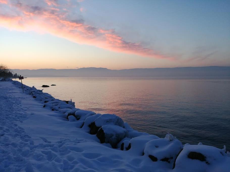 Lakefront. Appartement Pieds Dans L'Eau. View And Direct Access To The Lake. Anthy-sur-Leman Exterior foto