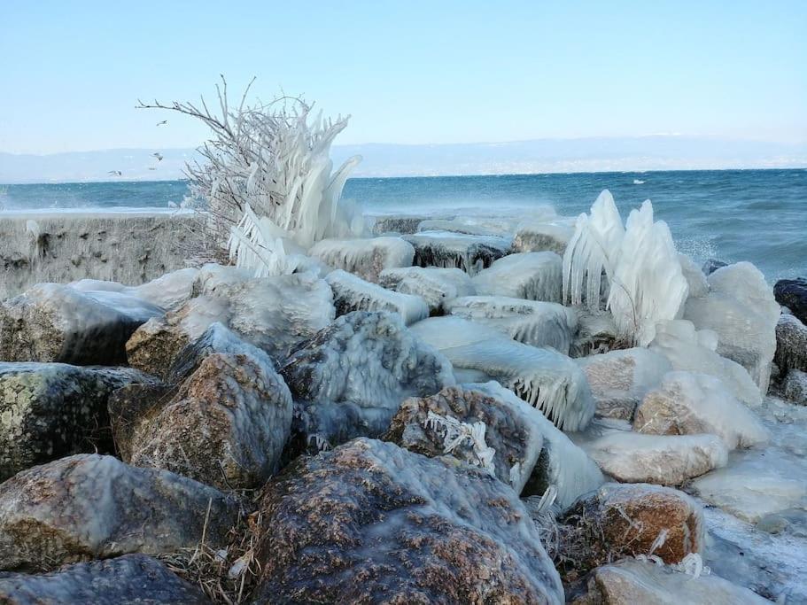 Lakefront. Appartement Pieds Dans L'Eau. View And Direct Access To The Lake. Anthy-sur-Leman Exterior foto