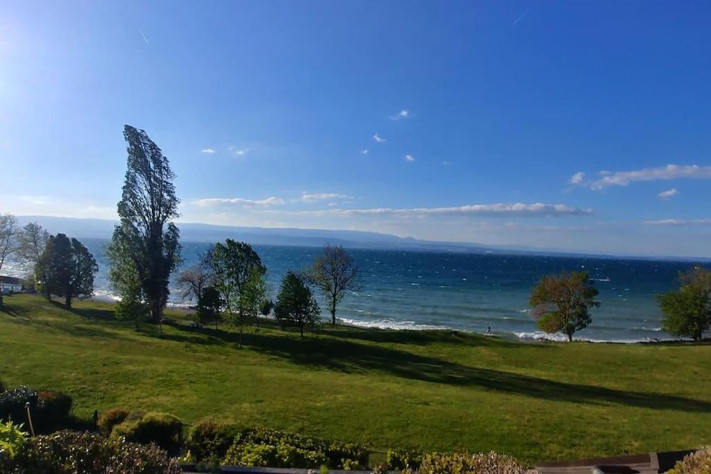 Lakefront. Appartement Pieds Dans L'Eau. View And Direct Access To The Lake. Anthy-sur-Leman Exterior foto